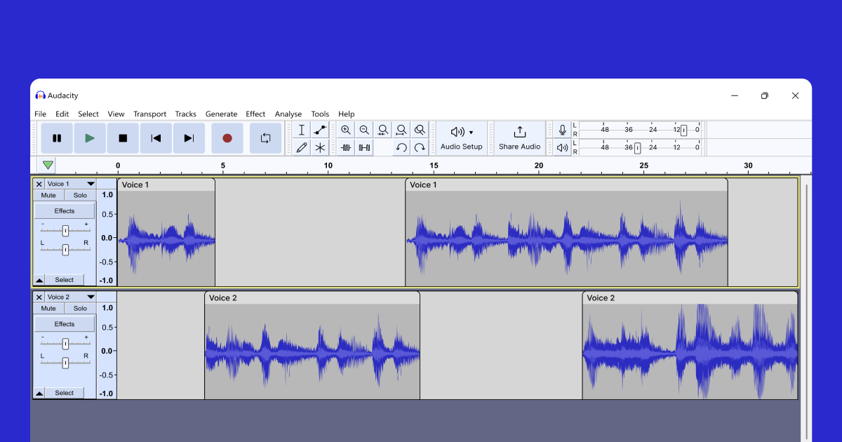 Audacity Muse Group